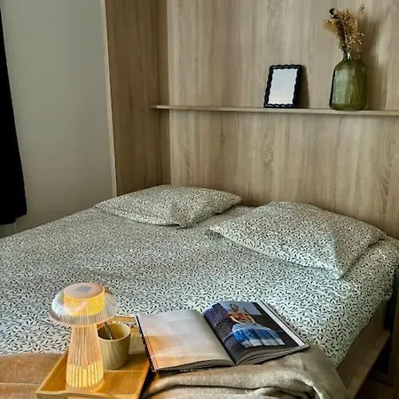 Studio Centre Ville, Cosy, Neuf Appartamento Saint-Etienne (Loire)